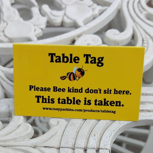 Single Cruise Traveller?  Personal Buffet Folding Table Placement Card.